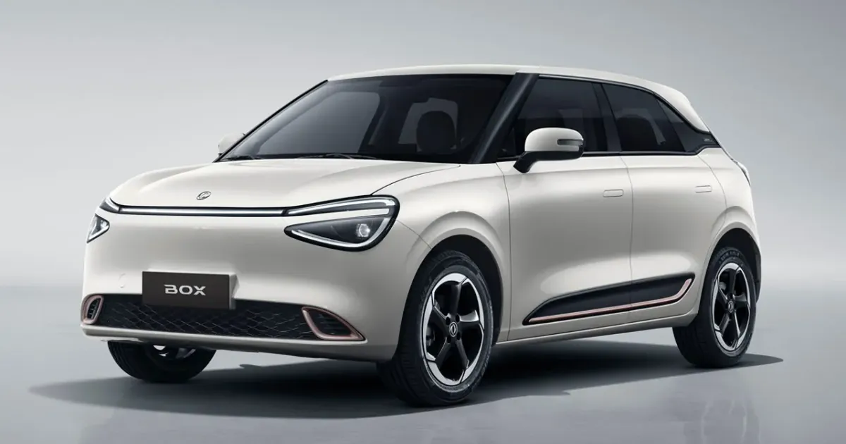 Dongfeng Box 2025