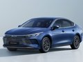 BYD King 2025